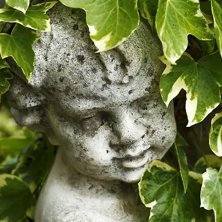 Luxury Il Mignale Amalfi Coast Weddings&events Villa Furore